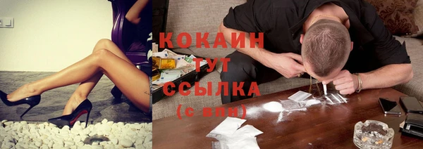 твердый Михайловка