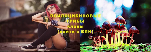 амф Алексин