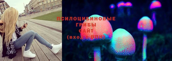 амф Алексин