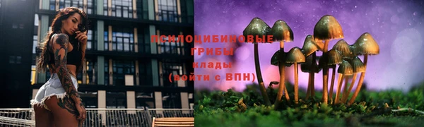 амф Алексин