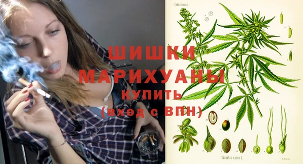 сатива Алзамай