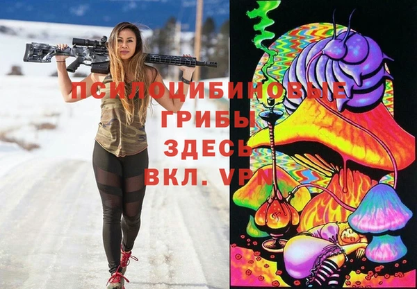 амф Алексин