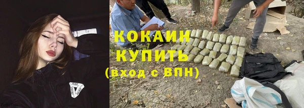амф Алексин