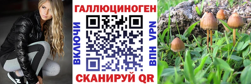 Псилоцибиновые грибы Magic Shrooms  Нижний Новгород 